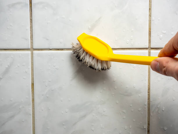 Best DIY Mold Remediation Support Services in Bosque Farms, NM