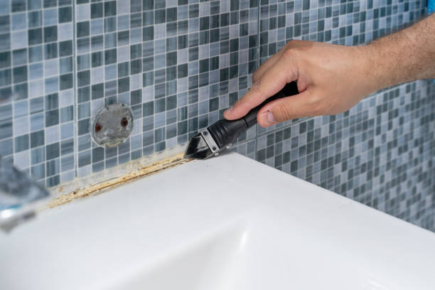 Best Black Mold Remediation in Bosque Farms, NM